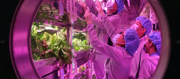 365天,在封闭的月宫一号里如何生活 365天,在封闭的月宫一号里如何生活 - 俄罗斯卫星通讯社