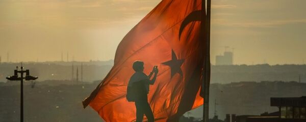 土耳其内政部已累计拘留650多名在互联网抗议“橄榄枝行动” 者 - 俄罗斯卫星通讯社