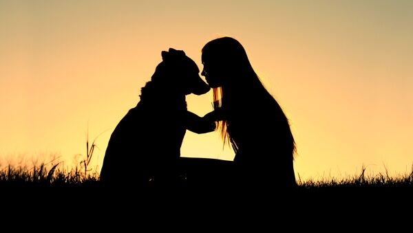 研究：對狗的愛源於基因 - 俄羅斯衛星通訊社