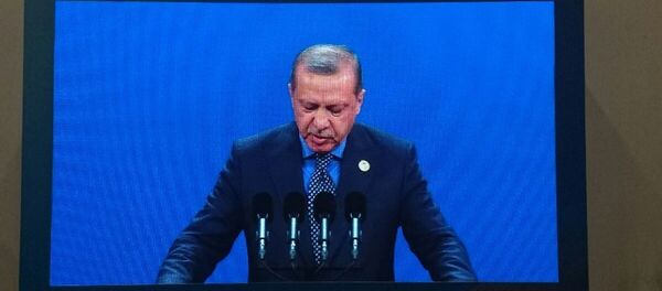 土耳其总统塔伊普·埃尔多安在论坛开幕式上第三位发言 - 俄罗斯卫星通讯社