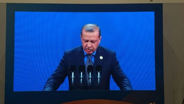 土耳其总统塔伊普·埃尔多安在论坛开幕式上第三位发言 - 俄罗斯卫星通讯社