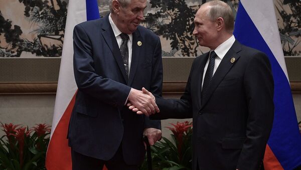 普京与捷克总统米洛什·泽曼会晤 - 俄罗斯卫星通讯社