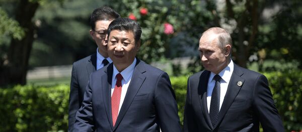 普京盼在东方经济论坛和金砖国家峰会期间同习近平会晤 - 俄罗斯卫星通讯社