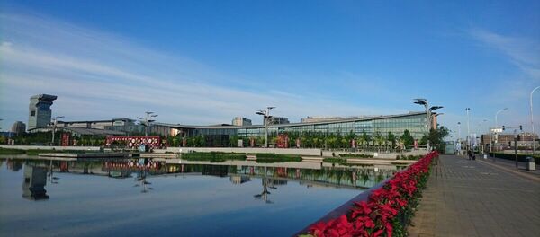 中国国务院副总理：中国未来将大量发展低碳清洁能源 - 俄罗斯卫星通讯社