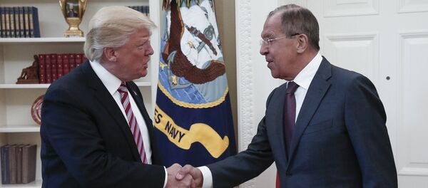 特朗普在与拉夫罗夫会晤中或谈及飞机恐袭威胁 - 俄罗斯卫星通讯社