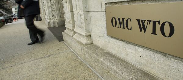 世贸组织改革应照顾发展中成员的合理诉求 - 俄罗斯卫星通讯社