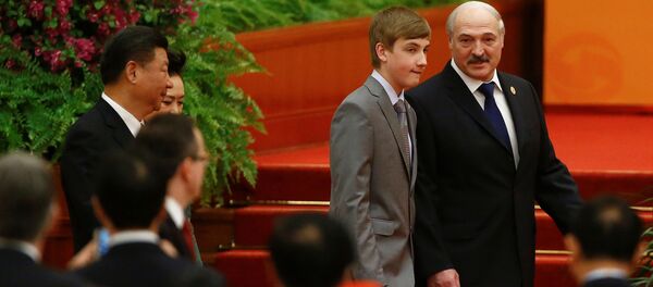 白俄农业部：中国将为白俄食品生产投资超12亿美元 - 俄罗斯卫星通讯社