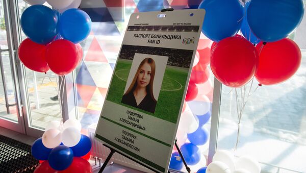 俄通信与大众传媒部：2018世界杯球迷护照发放中心将于12月开始工作 - 俄罗斯卫星通讯社
