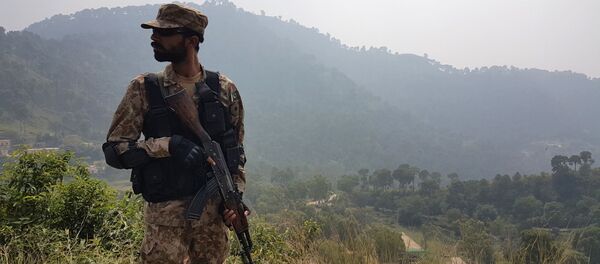 Солдат пакистанской армии - 俄罗斯卫星通讯社