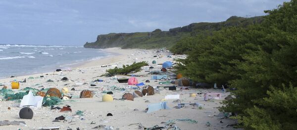 世界最嚴厲的塑料袋禁令在肯尼亞生效 - 俄羅斯衛星通訊社