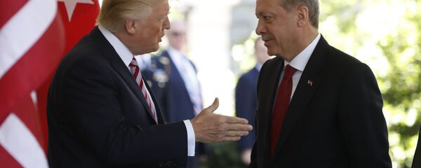 特朗普要求埃尔多安释放被指控与居伦有联系的美国牧师 - 俄罗斯卫星通讯社