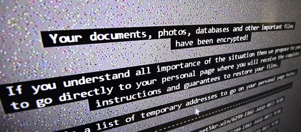 黑客 - 俄罗斯卫星通讯社
