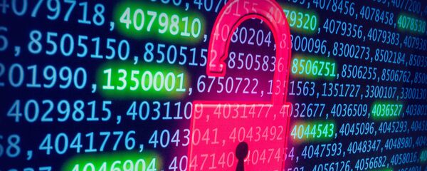 ESET软件公司预测黑客或将攻击关键基础设施并干扰选举 - 俄罗斯卫星通讯社