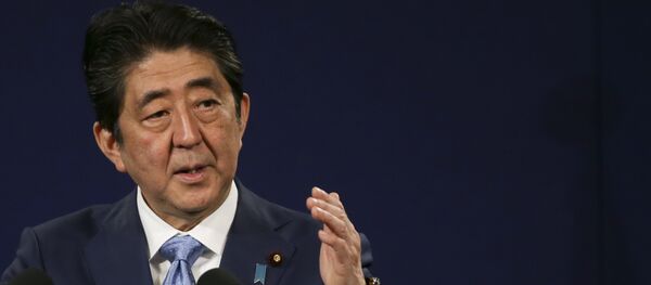 日本首相稱2018年為行動之年 擬推行改革 - 俄羅斯衛星通訊社