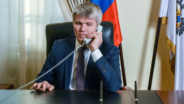 俄体育部长：联合会杯的基础设施已在最后准备阶段 - 俄罗斯卫星通讯社
