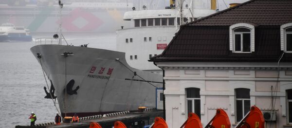 朝鮮外務省：美國企圖阻礙朝俄經濟合作 - 俄羅斯衛星通訊社