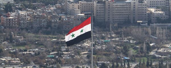 Вид на сирийский город Дамаск - 俄罗斯卫星通讯社