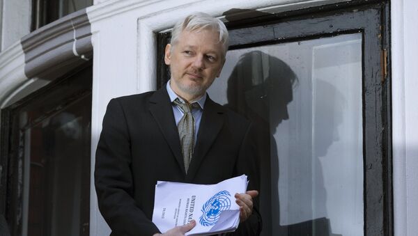 Сооснователь WikiLeaks Джулиан Ассанж выступает с речью с балкона посольства Эквадора в Лондоне - 俄罗斯卫星通讯社