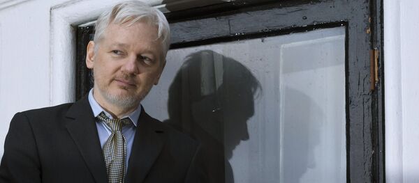 Сооснователь WikiLeaks Джулиан Ассанж выступает с речью с балкона посольства Эквадора в Лондоне - 俄罗斯卫星通讯社