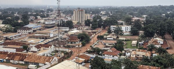 中部非洲国家经济共同体大使：中非共和国冲突各方将于2月4或5日签署和平协议 - 俄罗斯卫星通讯社