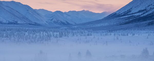Леса в окрестностях села Оймякон, Россия - 俄罗斯卫星通讯社