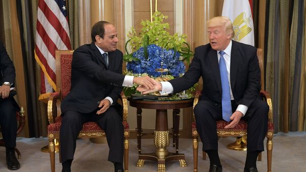 媒體：特朗普對埃及總統的鞋給予稱贊 - 俄羅斯衛星通訊社