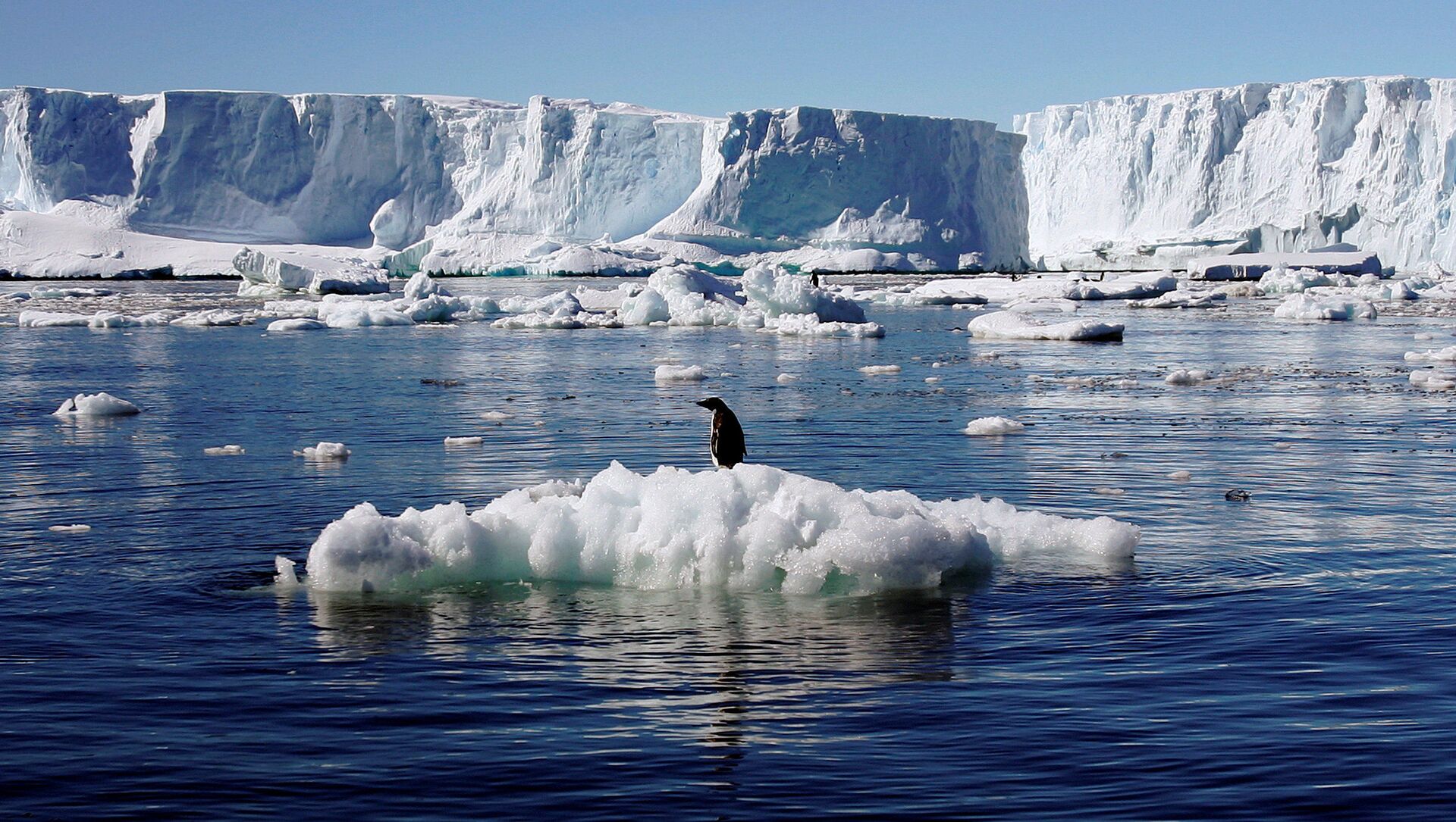 前所未见：北极冰川融化的震撼景象 |图辑|格陵兰|景象|北冰洋_新浪财经_新浪网