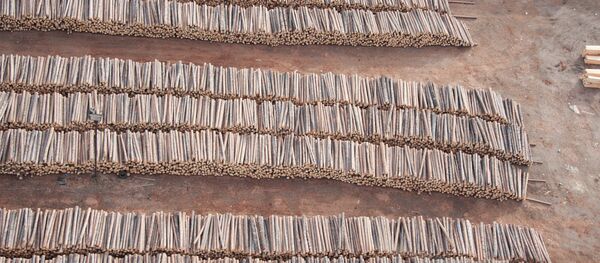 中俄托木斯克州工贸合作区木材专列较传统运输方式节省70%时间 中俄托木斯克州工贸合作区木材专列较传统运输方式节省70%时间 - 俄罗斯卫星通讯社