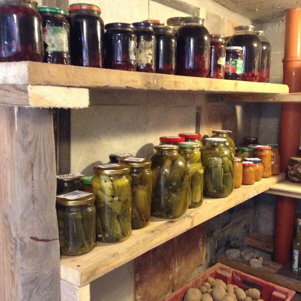 腌制品 腌制品 - 俄罗斯卫星通讯社