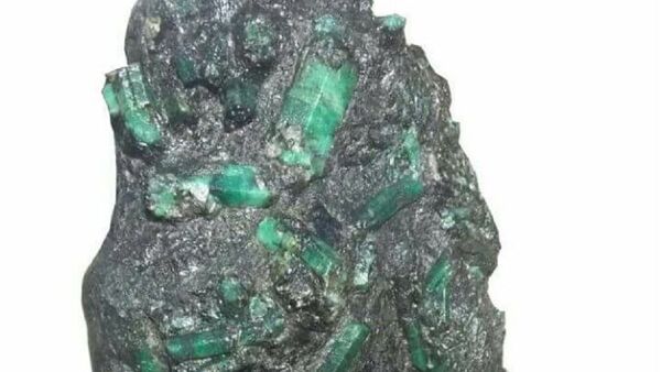 巴西礦工發現了重逾270公斤的“祖母綠”寶石 - 俄羅斯衛星通訊社