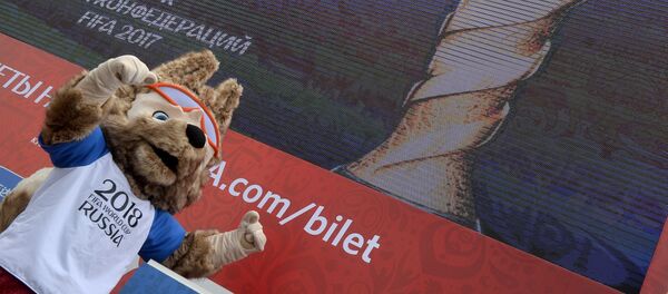 俄合作署：在中国将开设2018足球世界杯球迷信息中心 - 俄罗斯卫星通讯社