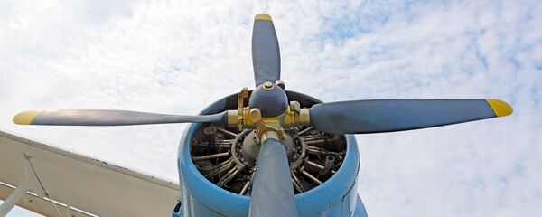 安-2型飞机 - 俄罗斯卫星通讯社