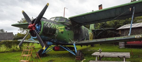 安-2型飛機 - 俄羅斯衛星通訊社