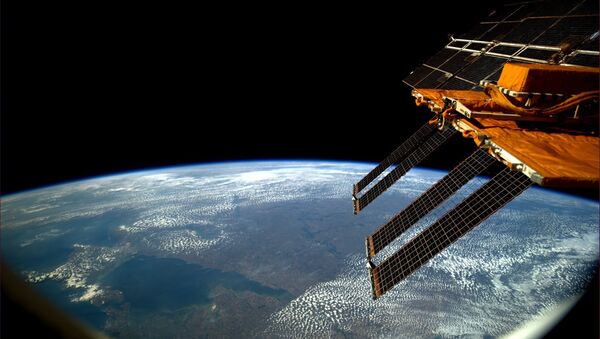 俄副总理：俄印联合制造航天器将带来丰厚利润 - 俄罗斯卫星通讯社
