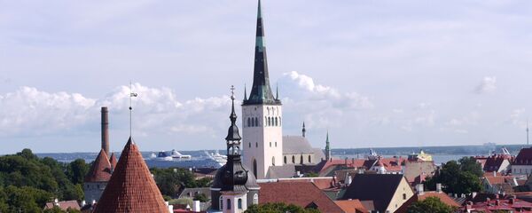 爱沙尼亚保守派建议将所有穆斯林赶出欧洲 - 俄罗斯卫星通讯社