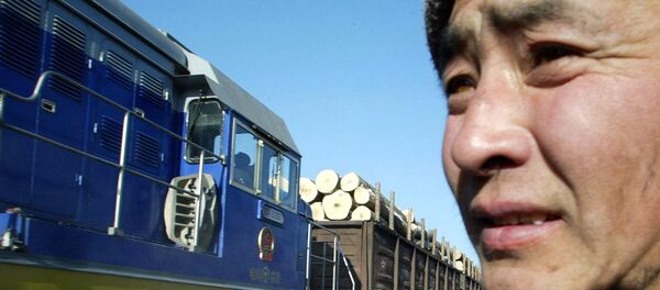 中林集团考虑在远东建木材加工厂 - 俄罗斯卫星通讯社