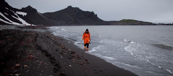 中國欲與俄羅斯合作征服南極 - 俄羅斯衛星通訊社