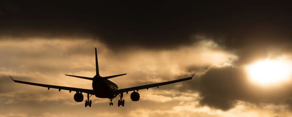 日本一航空公司迫使残疾旅客爬上飞机 - 俄罗斯卫星通讯社