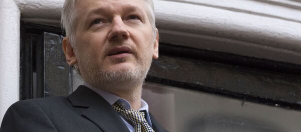 阿桑奇 - 俄罗斯卫星通讯社