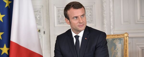 马克龙 - 俄罗斯卫星通讯社