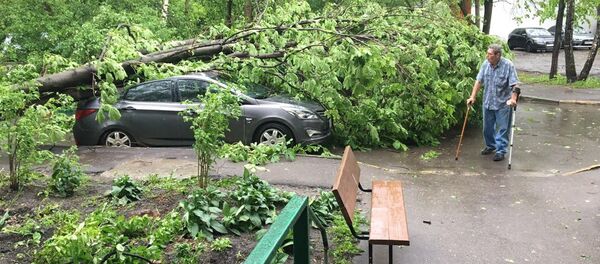 莫斯科市長：莫斯科暴風天氣遇難者家屬將獲得撫卹金 - 俄羅斯衛星通訊社