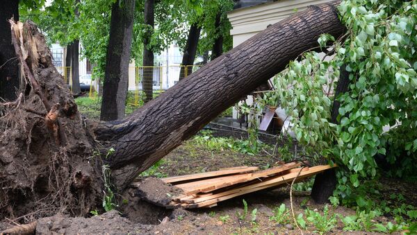 Последствия урагана в Москве - 俄羅斯衛星通訊社