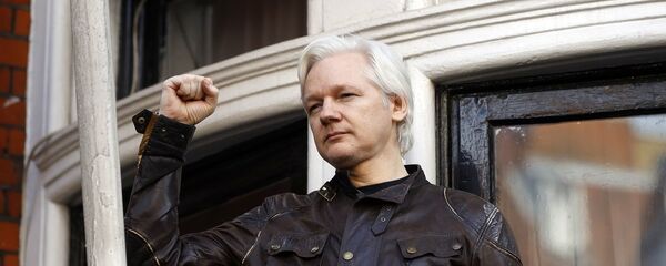 阿桑奇 - 俄罗斯卫星通讯社