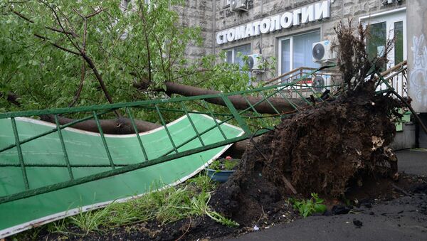 俄罗斯中央区暴风过后2.2万多人参与救灾 - 俄罗斯卫星通讯社