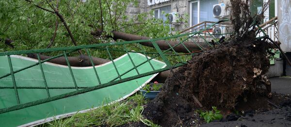 俄罗斯中央区暴风过后2.2万多人参与救灾 - 俄罗斯卫星通讯社