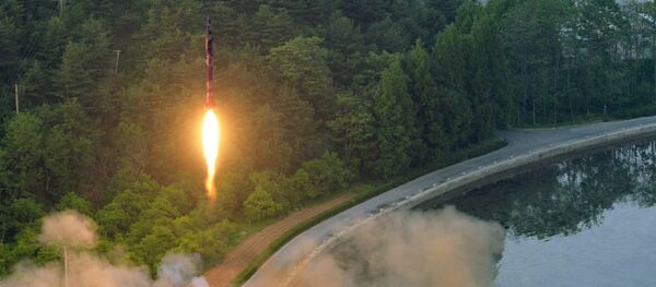 军事专家：“朝鲜伊斯坎德尔”有能力摧毁驻韩美军 - 俄罗斯卫星通讯社