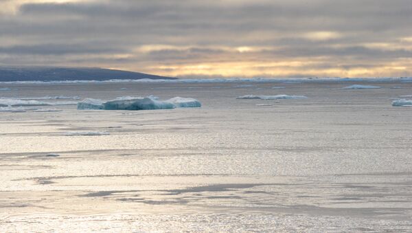 Глыбы льда в Северо-Западном морском проходе - 俄罗斯卫星通讯社