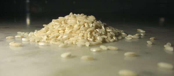 一名中國公民因試圖從美國運出轉基因大米種子而被判刑 - 俄羅斯衛星通訊社