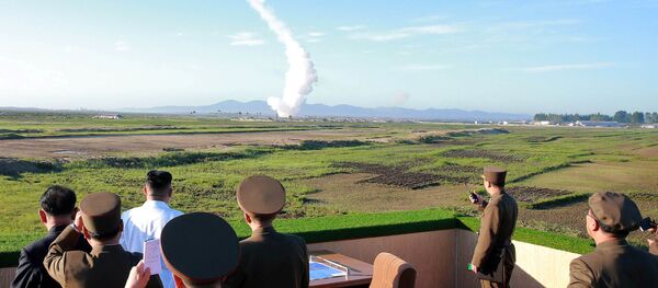 North Korean leader Kim Jong Un watches the test of a new-type anti-aircraft guided weapon system - 俄罗斯卫星通讯社