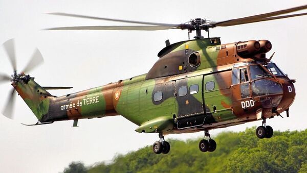 美洲狮直升机 - 俄罗斯卫星通讯社